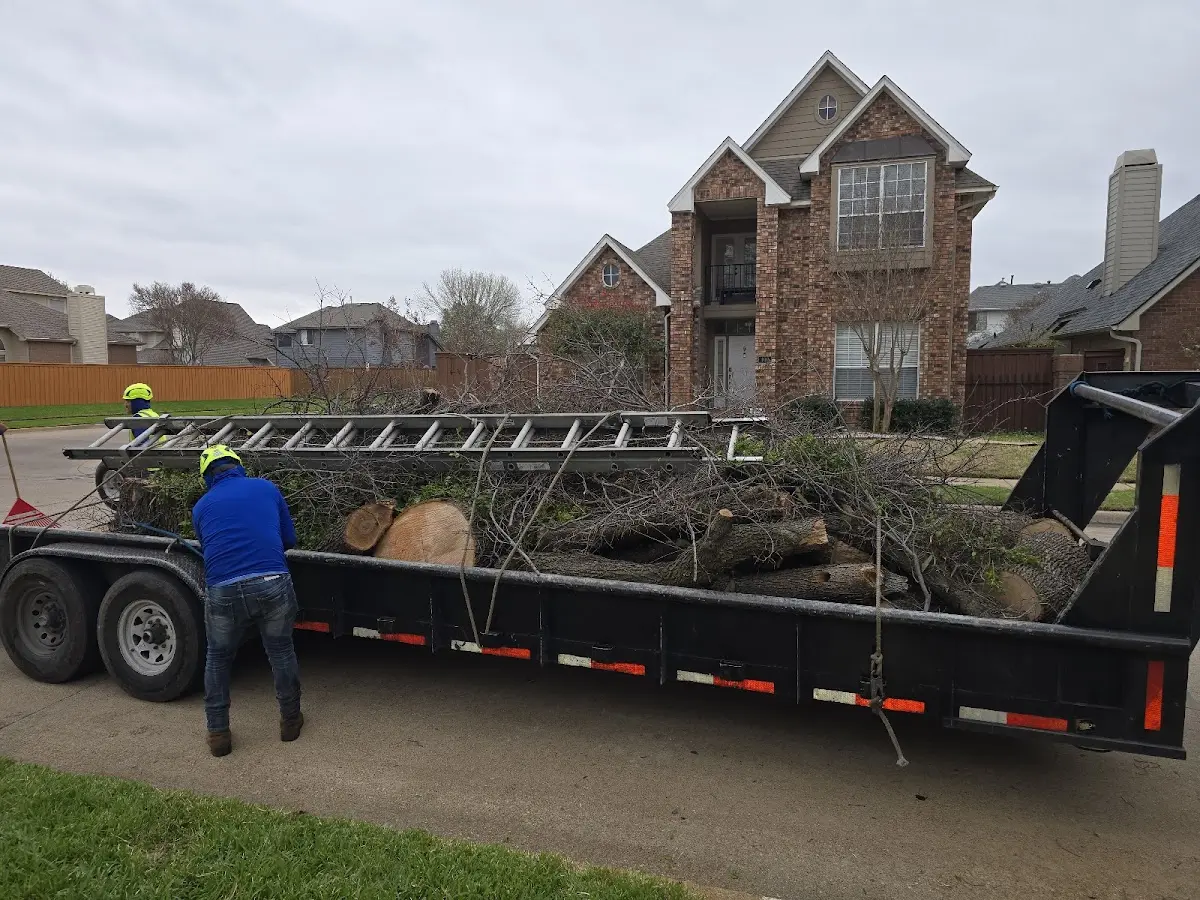 Expert Lot Clearing with proper safety equipment in Albia